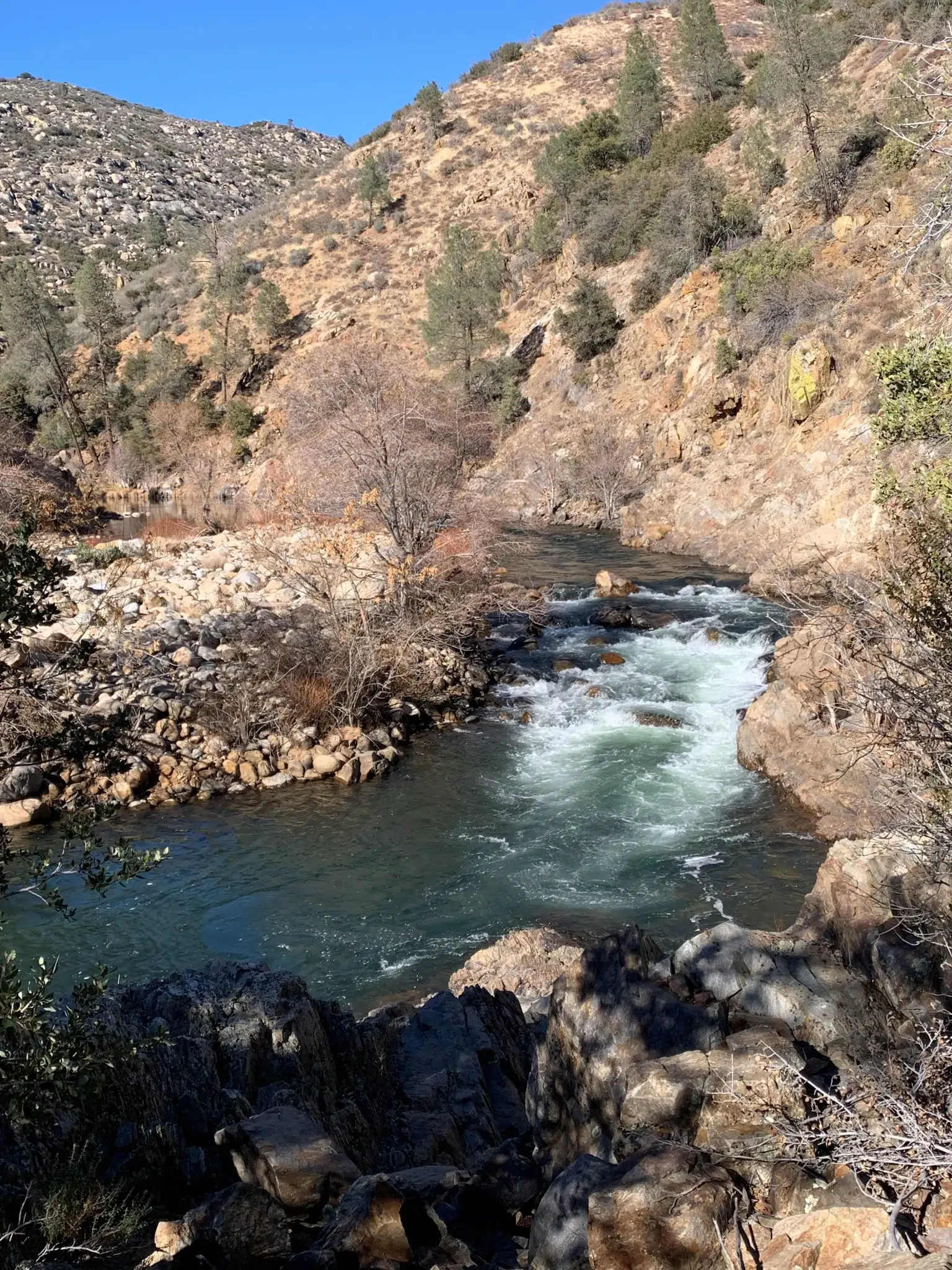 Casting Memories: Fly Fishing