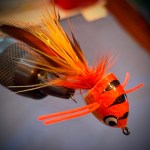 decorative orange black popper fly beginner tying